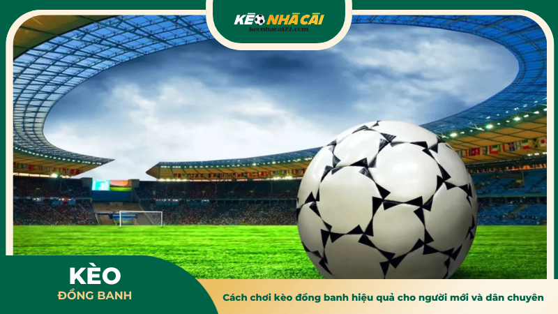 Cách chơi kèo đồng banh hiệu quả cho người mới và dân chuyên