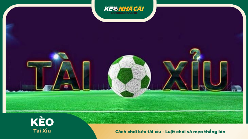 Cách chơi kèo tài xỉu - Luật chơi và mẹo thắng lớn