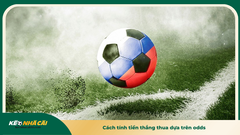 Cách tính tiền thắng thua dựa trên odds