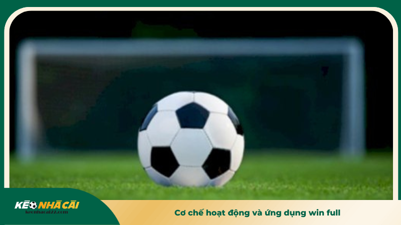 Cơ chế hoạt động và ứng dụng win full