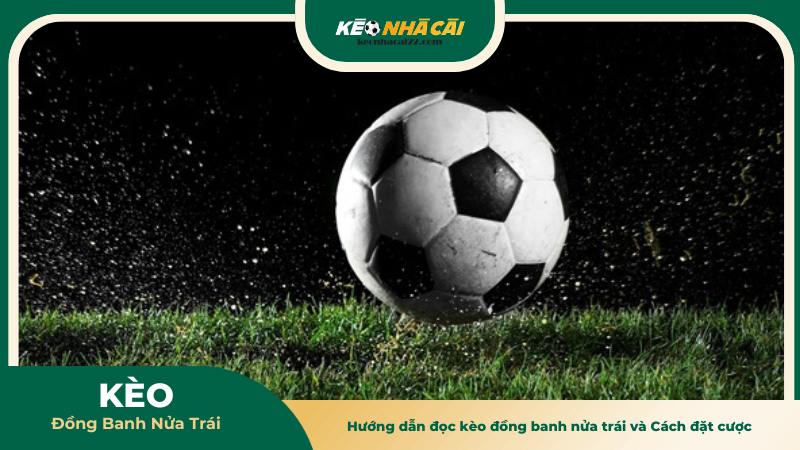 Hướng dẫn đọc kèo đồng banh nửa trái và Cách đặt cược hiệu quả