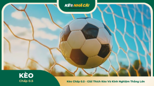 Kèo Chấp 0.5 - Giải Thích Kèo Và Kinh Nghiệm Thắng Lớn