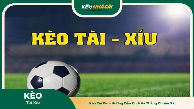 Kèo Tài Xỉu - Hướng Dẫn Chơi Và Thắng Chuẩn Xác