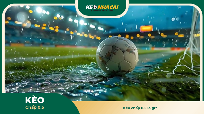 Kèo chấp 0.5 là gì?