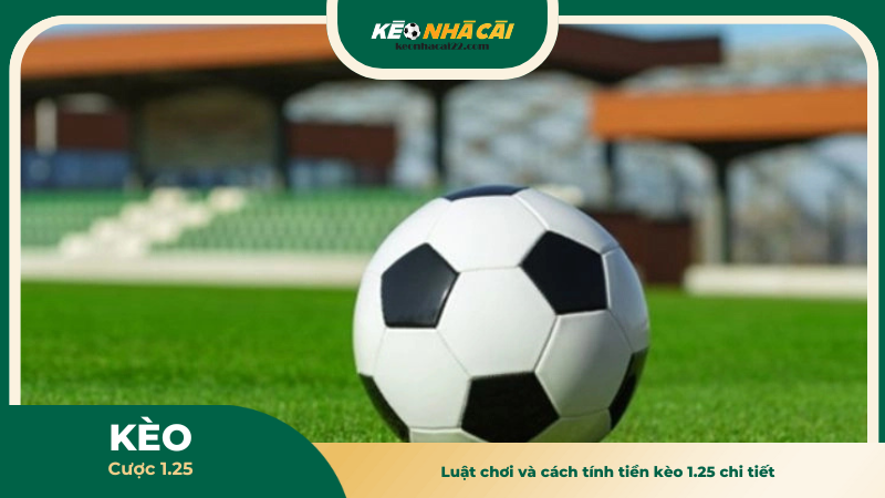Luật chơi và cách tính tiền kèo 1.25 chi tiết