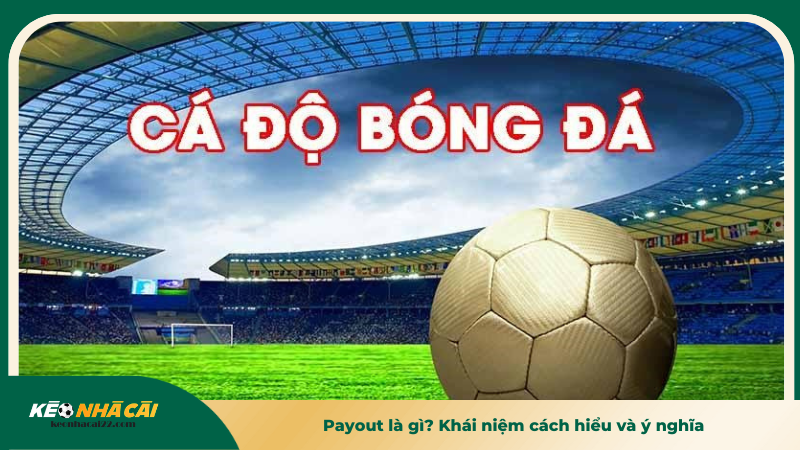 Payout là gì? Khái niệm cách hiểu và ý nghĩa