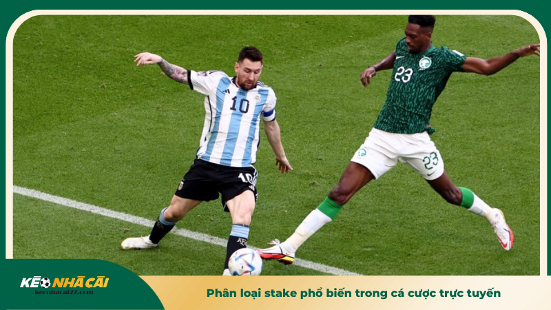 Phân loại stake phổ biến trong cá cược trực tuyến