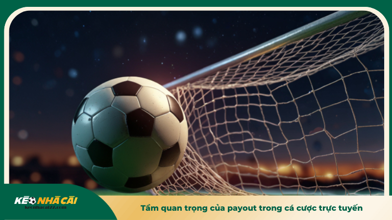 Tầm quan trọng của payout trong cá cược trực tuyến